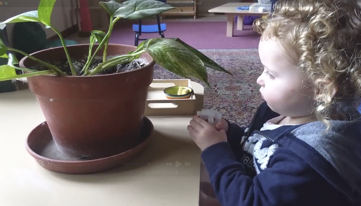Montessori en la Vida Cotidiana